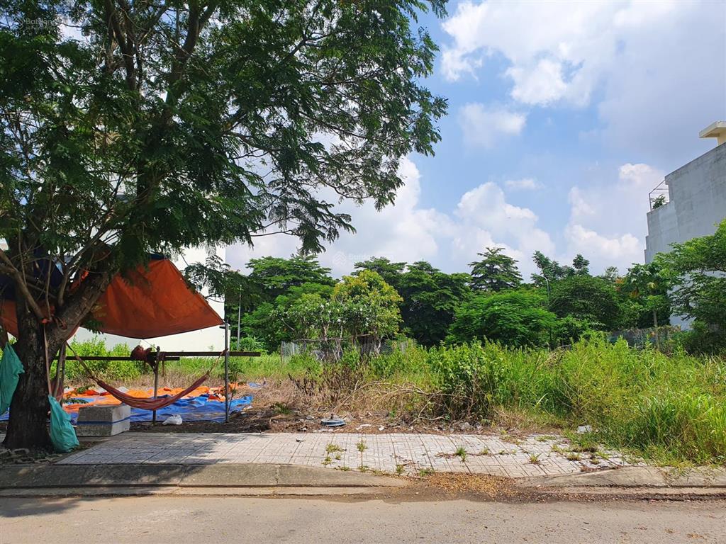 Bán đất sổ đỏ cá nhân cát lái, dt 7x20m, đường 12 mét thông thẳng tới đại học umt, chỉ 65 triệu/m²