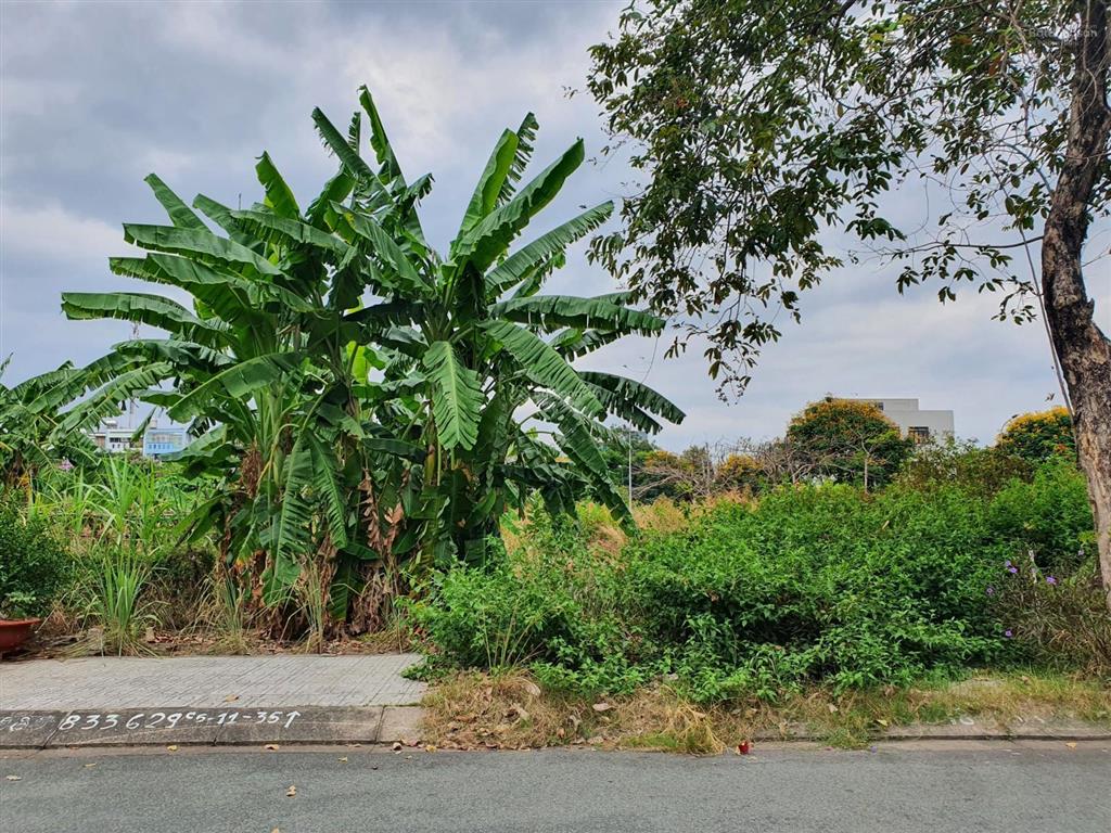 Bán đất sổ đỏ cát lái, dt 5x20m, hướng tây nam, đường 48 mét tương lai thông vành đai 2 võ chí công