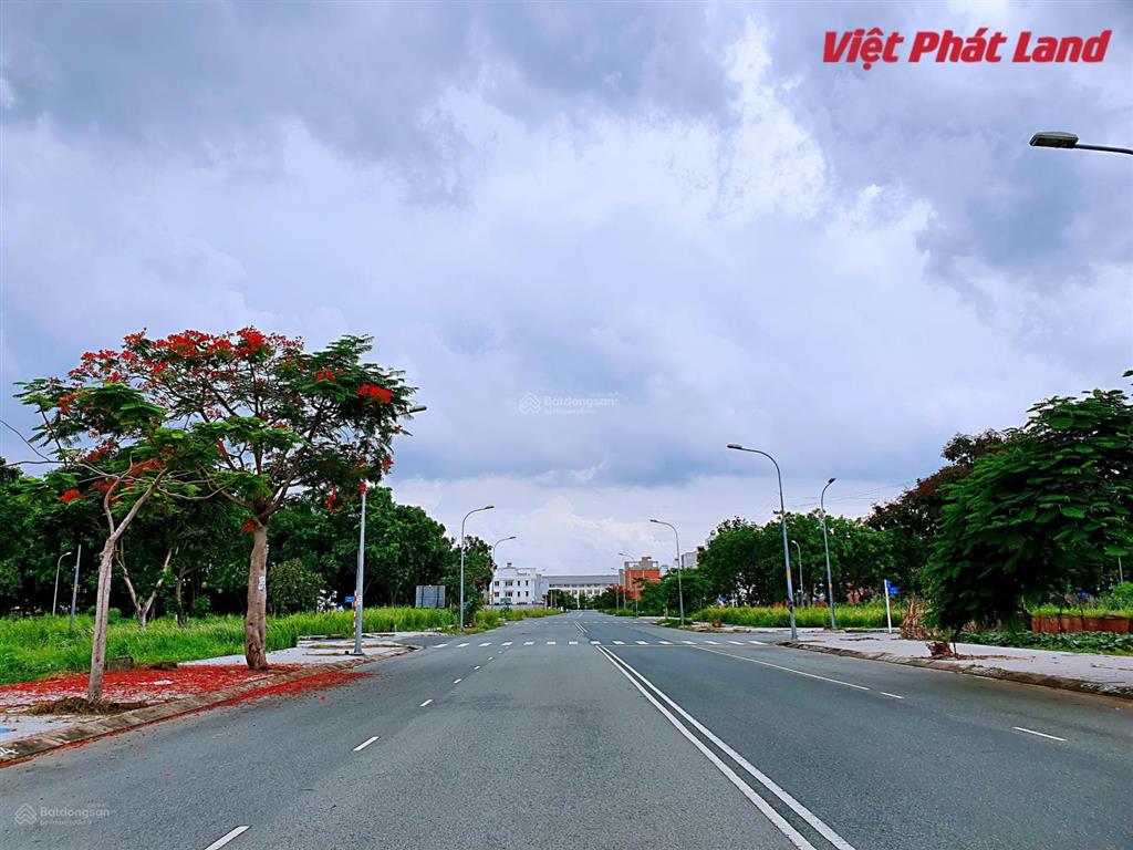 Bán đất sổ đỏ cá nhân cát lái, dt 8x20m, đường trục chính rộng 24 mét, chỉ 87 triệu/m²