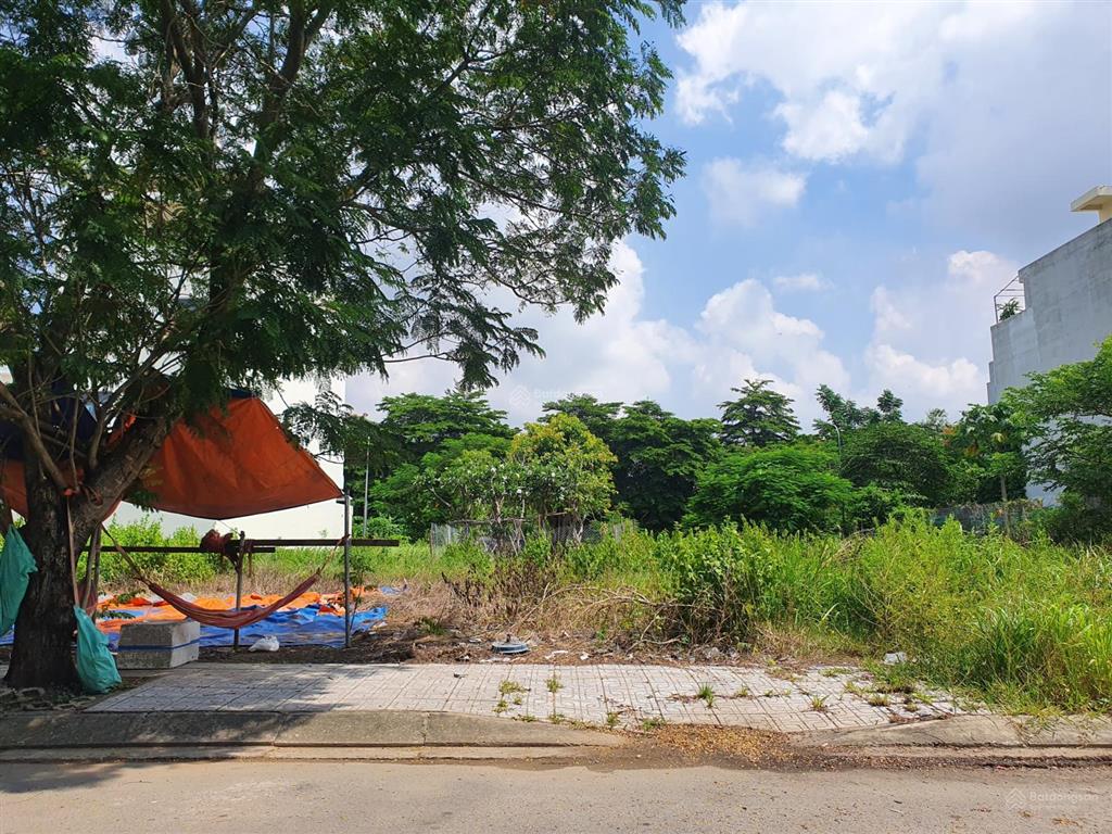 Bán đất cát lái  sát đại học umt  sổ đỏ  đường nhựa 12 mét  dt 7x20m vuông a4  chỉ 63 triệu/m2