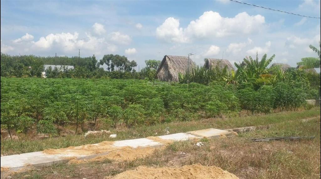 Chính chủ bán đất ngay cổng chính kcn phước đông, dt 4271,8m2 ô tô đỗ mt 30m, giá 4.7 tỷ