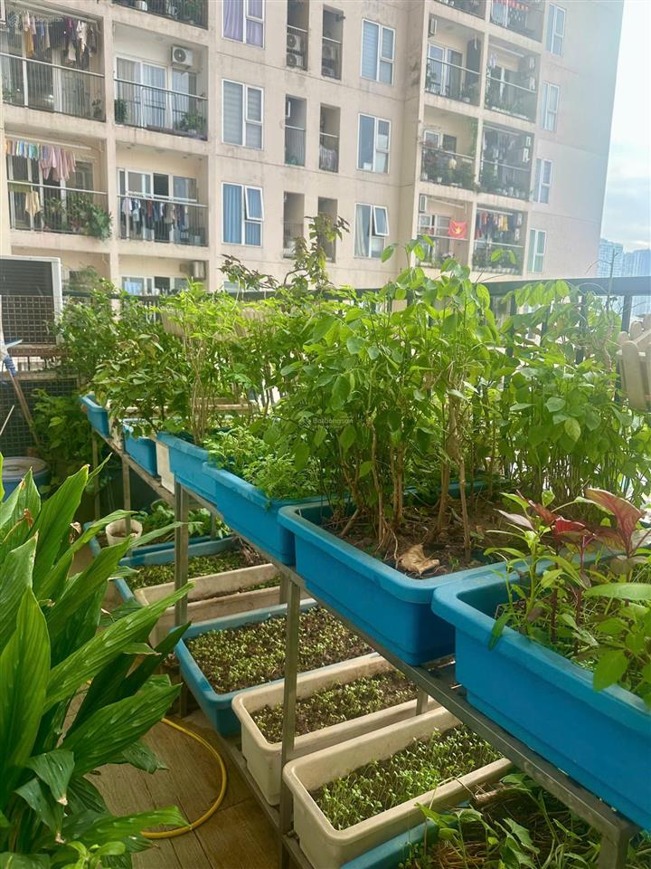 Chính chủ cần bán căn hộ 2 ngủ gemek 2, ban công đông nam tầng trung