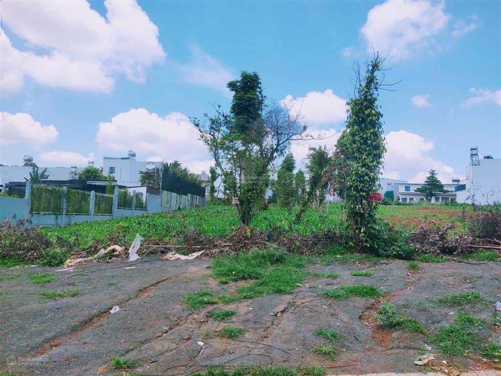 Bán đất y moan thổ cư 110m2 chính nam, khu dân cư trí thức yên tĩnh