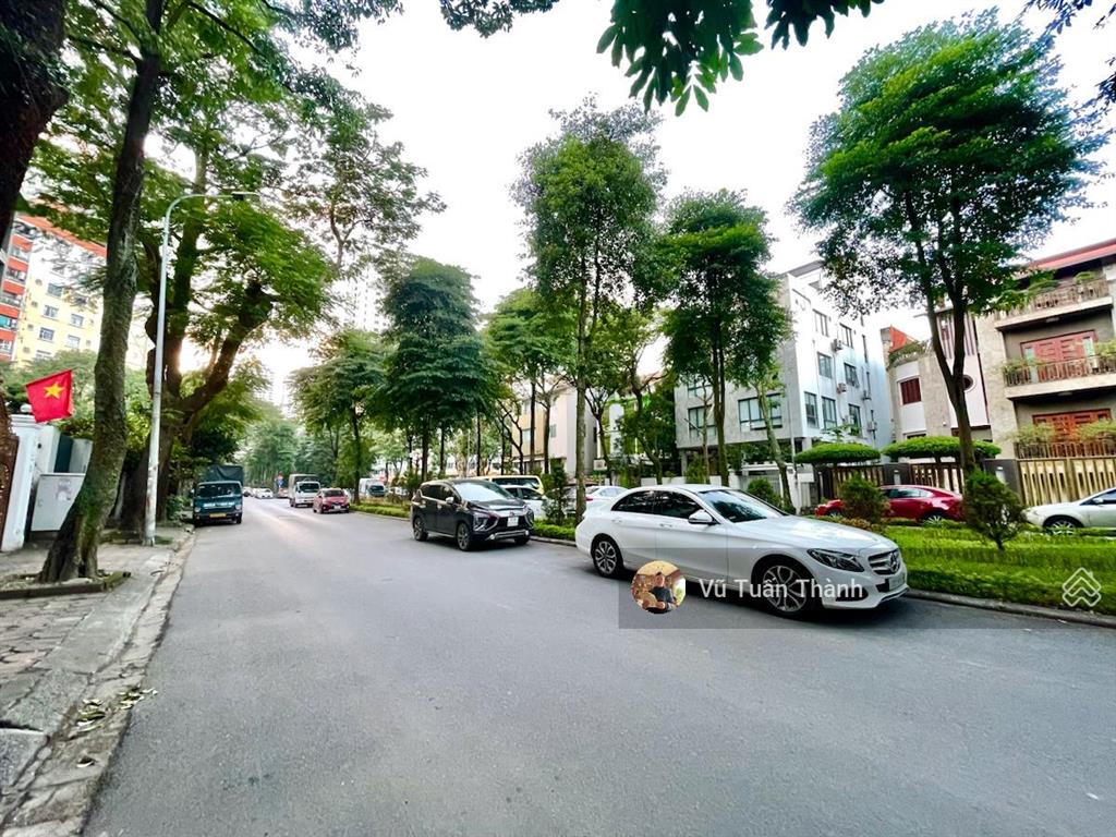Siêu phẩm biệt thự mặt phố đường đôi đẹp nhất kđt linh đàmhoàn thiện sang trọngđẳng cấp đại gia
