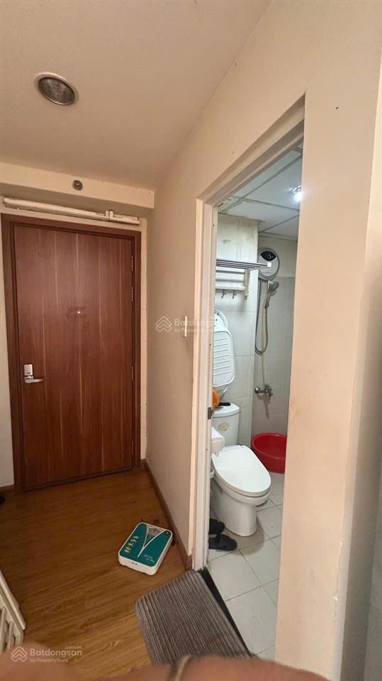 Căn góc chung cư hoa anh đào 2pn cần bán gấp dt 65m2. giá chỉ 3,8 tỷ