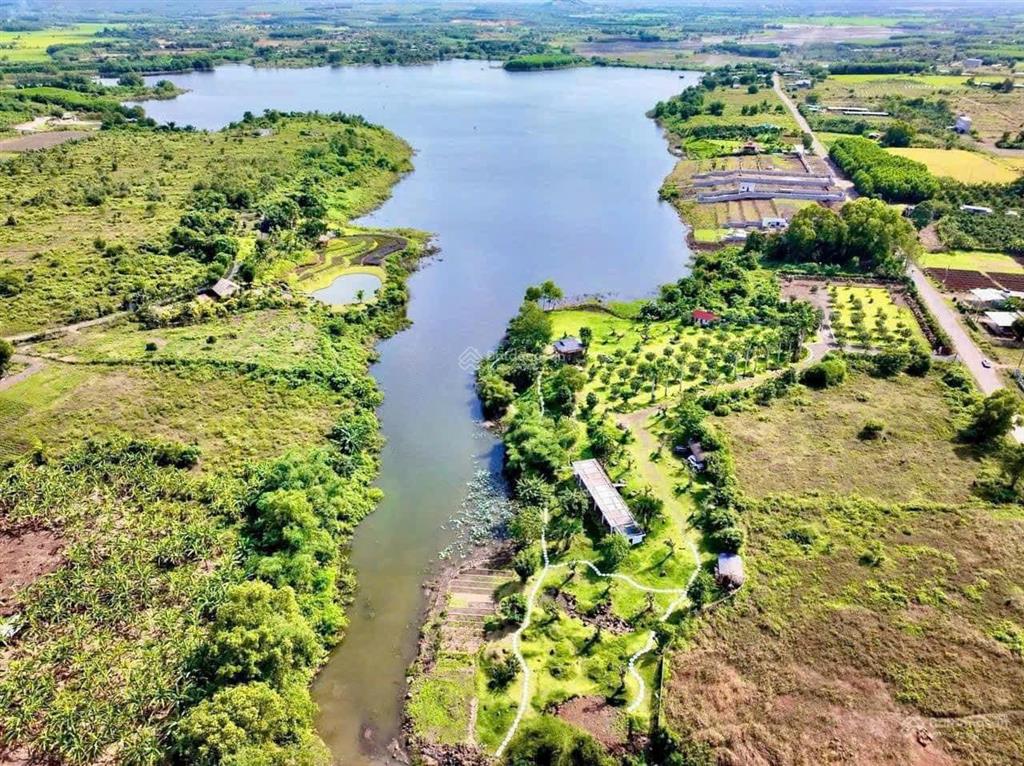 Bán gấp 5000m2 sẵn 300m2 thổ cư gần chợ long tân 500m sẵn vườn cây