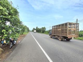 Bán vườn bơ 3064m2 tl 765 long tân có 300m2 thổ cư, giá 6 tỷ 200 tr