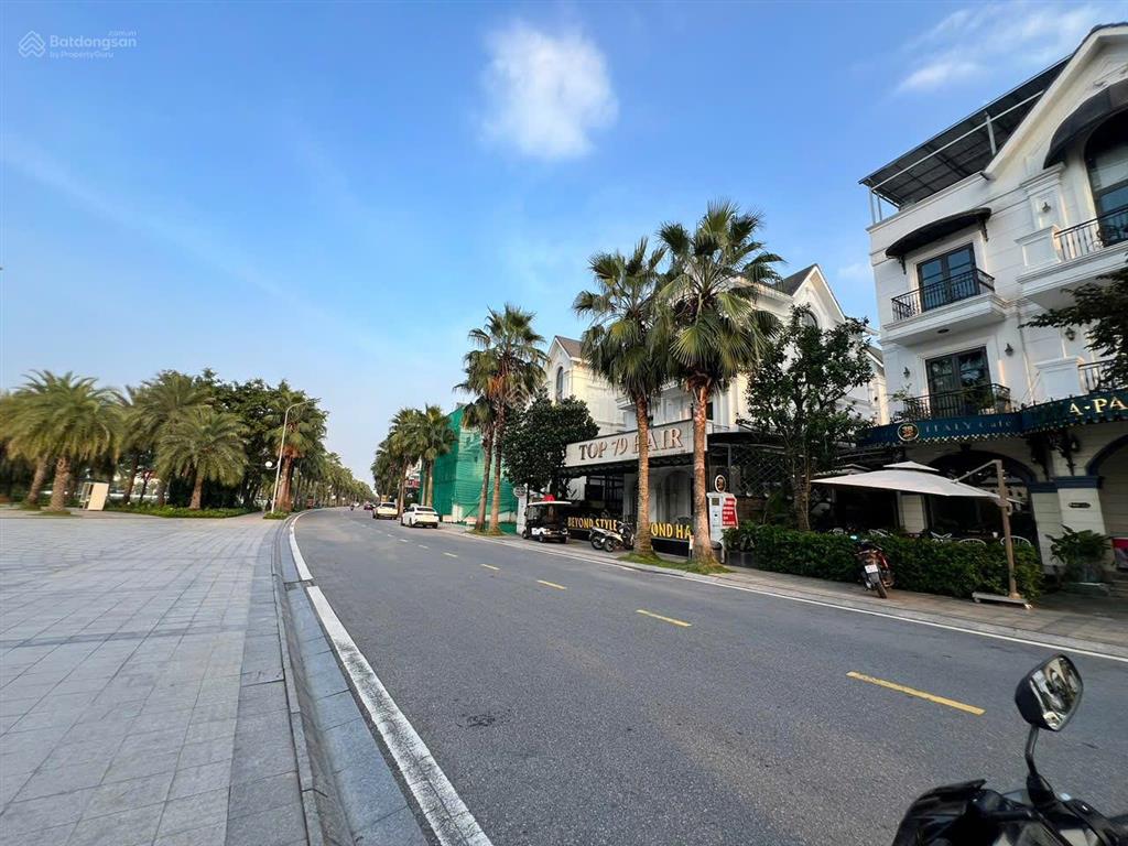 Bán biệt thự đơn lập mặt biển hồ lagoon đường hải âu 1 vinhomes ocean park gia lâm