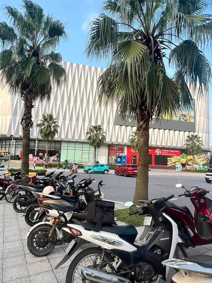 Bán biệt thự đơn lập mặt biển hồ lagoon đường hải âu 1 vinhomes ocean park gia lâm
