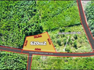 Đất vườn phù hợp làm farm nghĩ dưỡng, chủ kẹt bank mua 350tr nay bán lại 269tr. diên lâm, khánh hoà
