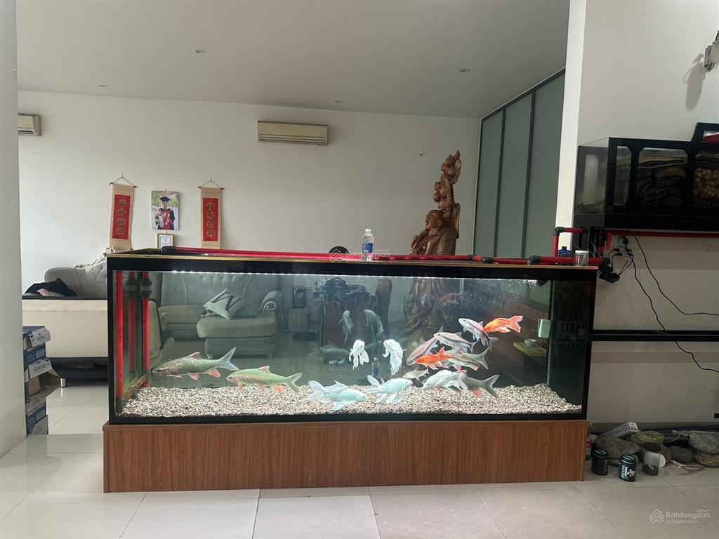 Bán gấp nr 300m2, 12pn, 10wc tại trần hưng đạo, 17 tỷ vnd, chính chủ