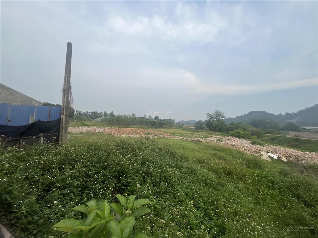 Bán đất trung giã, 4772m2, chào bán 38,7 tỷ. có thương lượng.