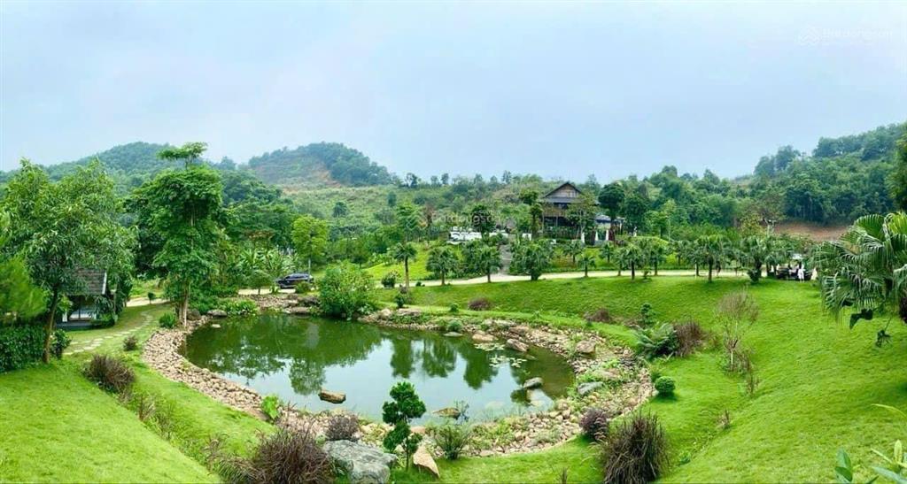 Bungalow nghỉ dưỡng ven đô yên bài ba vì, giá nhỉnh 2 tỷ