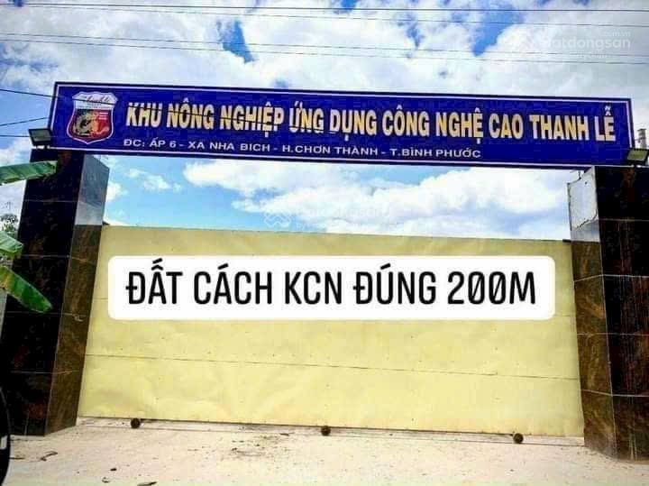 Bán đất tại d3, nha bích, 530 triệu, 239,9m2, giá ưu đãi, chính chủ