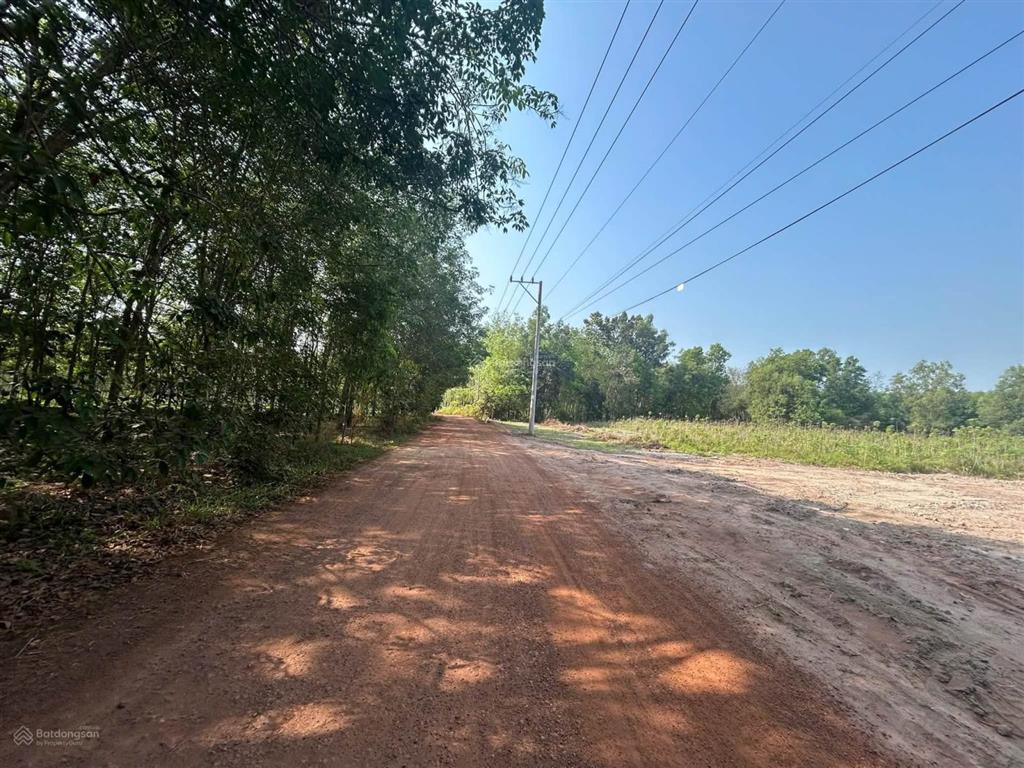 Ngộp, cần bán lô đất đẹp 2 mt 9400m2 long nguyên, bàu bàng. giá 8.5 tỷ tl