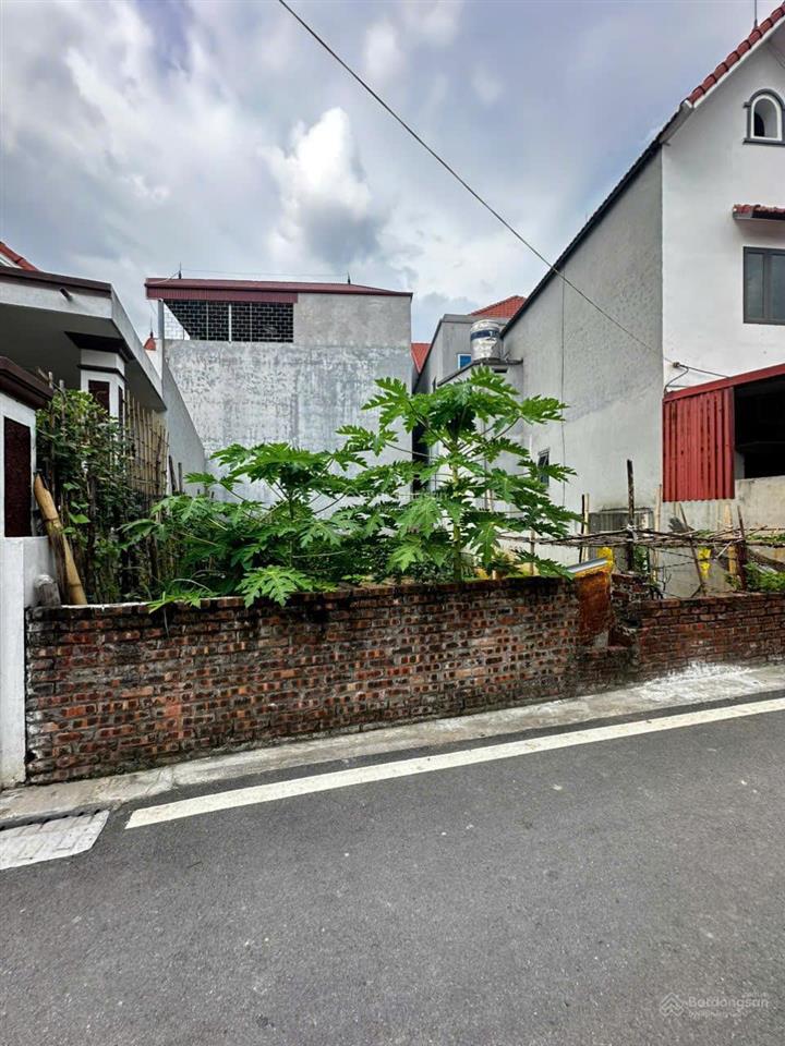 Giảm kịch sàn! bán 55m² đất vuông đẹp, nghĩa trụ văn giang, thông ocp23, ô tô đỗ tránh