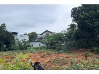 Bán mảnh đất đẹp 800m2 xã hạ long huyện vân đồn, phù hợp phân lô. giá rẻ nhất thị trường