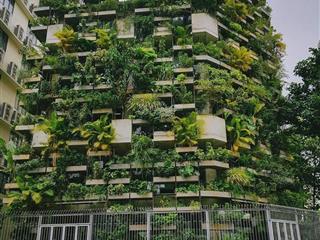 Đất nền dự án tại khu dân cư phú nhuận 1,2, 20,1 tỷ, 129,5m2 hàng hiếm bao đẹp