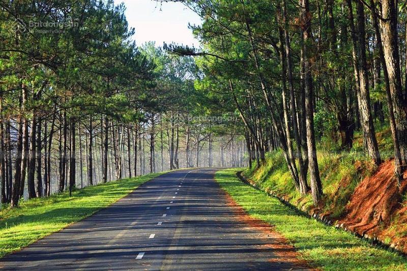 Độc nhất 1250m2 giáp mặt hồ gần trung tâm đà lạt