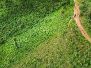 [rẻ đẹp{ cho thuê 6000m đất nông nghiệp tại phường cam ly đà lạt (tà nung cũ)