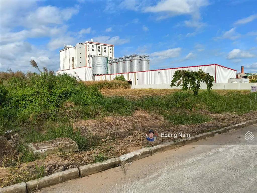 Bán 3 ha đất kcn thuận đạo. cần đước. long an. giá tốt
