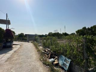 Đất full thổ  gần vin  giá tốt  phù hợp xây trọ tại cần giờ