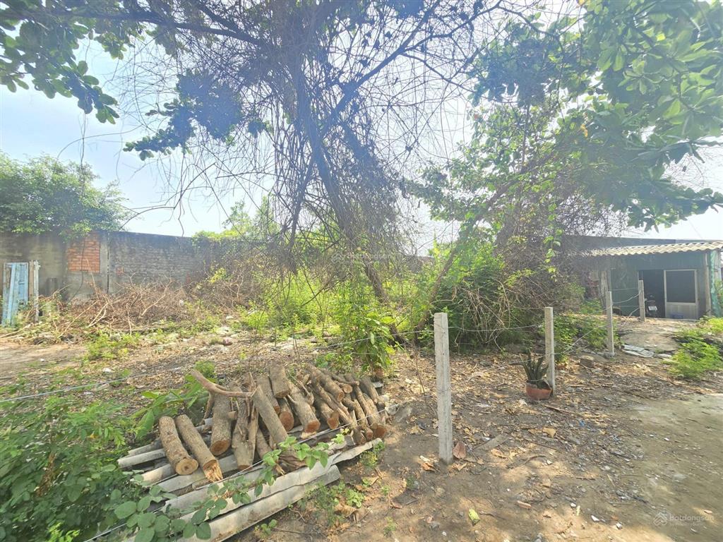 Cơ hội đầu tư dòng tiền  dãy nhà trọ trung tâm cần giờ hồ chí minh