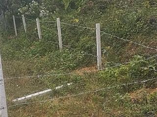 Bán đất nghỉ dưỡng siêu đẹp tại dụ phượng mông hóa, thành phố hòa bình (phường kỳ sơn, phú thọ mới)