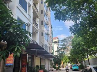 Siêu phẩm nhà lk dương nội  lê trọng tấn 50m² x 7 tầng 1 tum thang máy, view chung cư, kd đỉnh