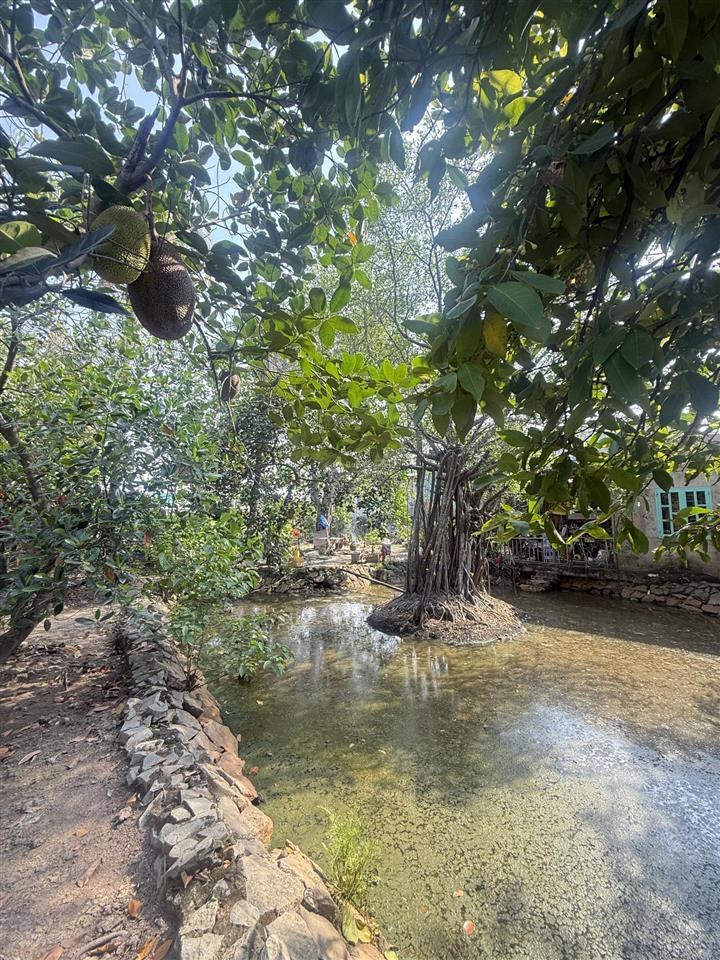 Bán đất lớn thổ cư an phú đông, quận 12 giáp gò vấp