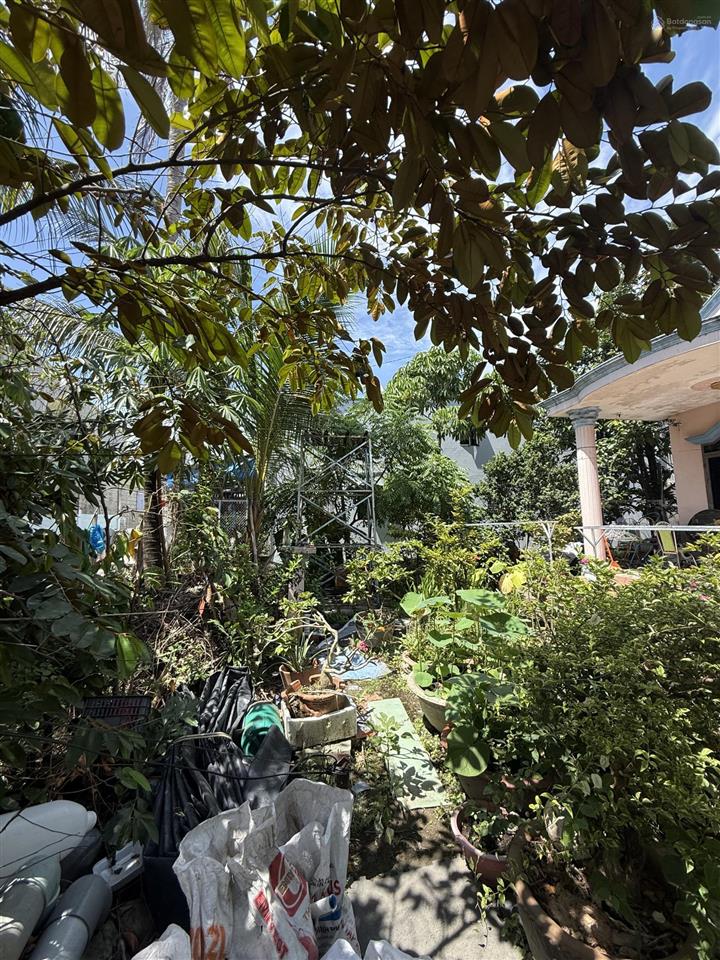 Bán nhà vườn 1.330m2, an phú đông, quận 12