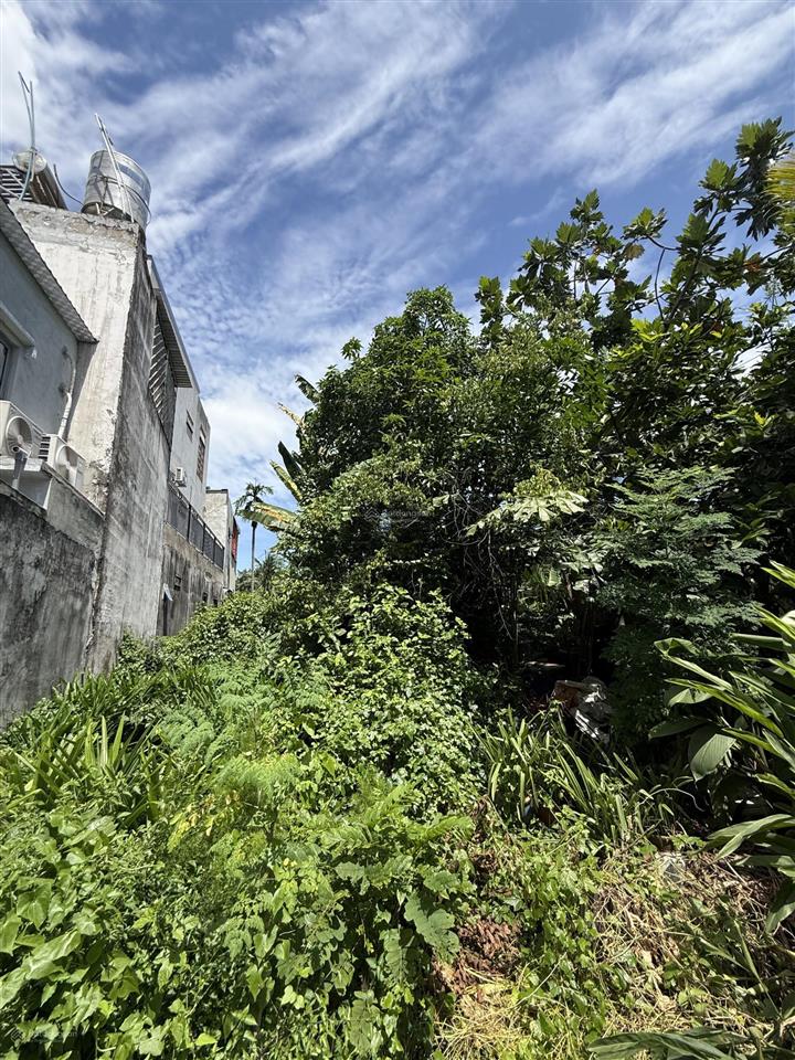 Bán nhà vườn 1.330m2, an phú đông, quận 12