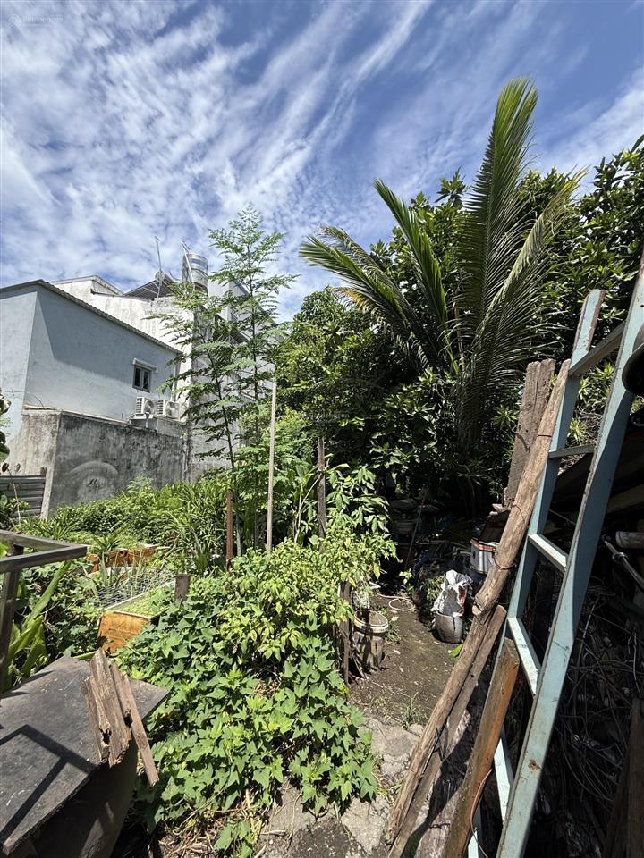 Bán nhà vườn 1.330m2, an phú đông, quận 12