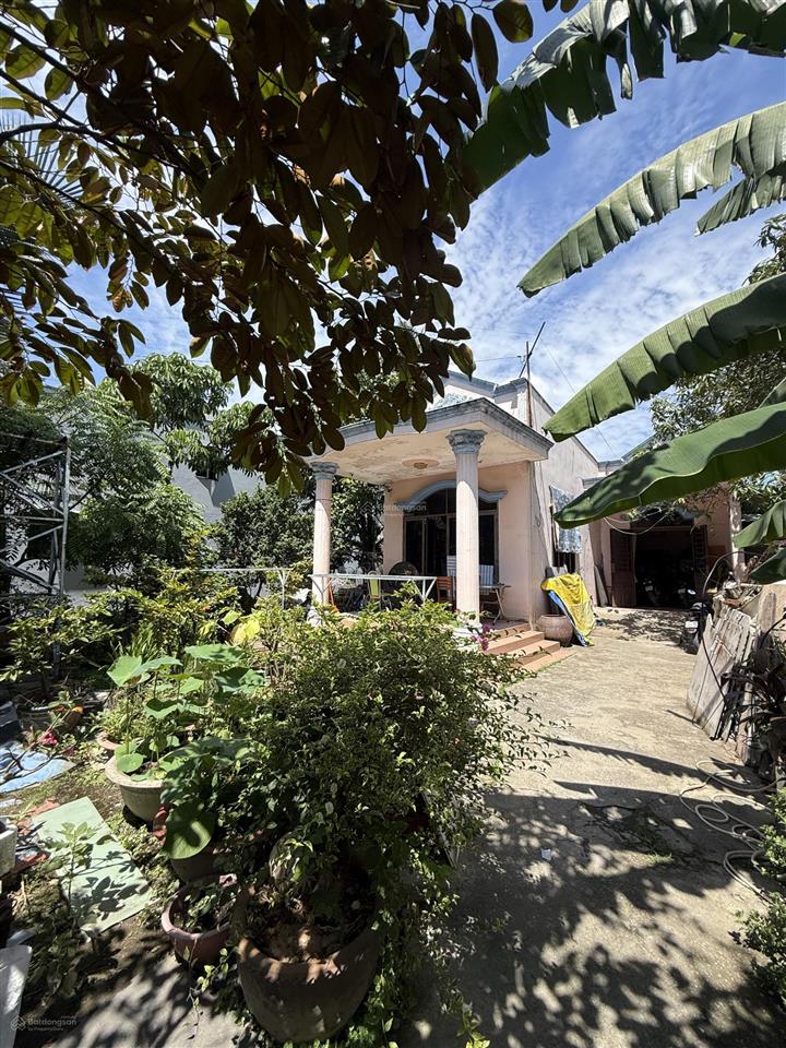 Bán nhà vườn 1.330m2, an phú đông, quận 12