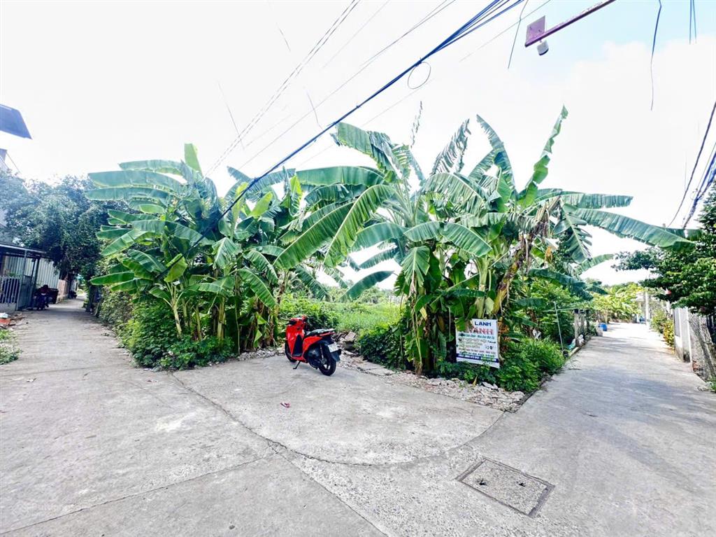 Lô đất 3mt ngay đường đinh đức thiệnchợ bình chánh. thích hợp phân lô. 3044m2(50x61) gía cực rẻ