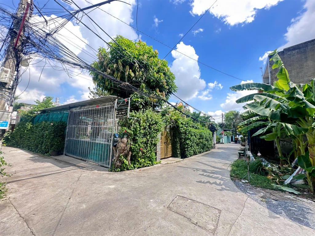 Lô đất 3mt ngay đường đinh đức thiệnchợ bình chánh. thích hợp phân lô. 3044m2(50x61) gía cực rẻ