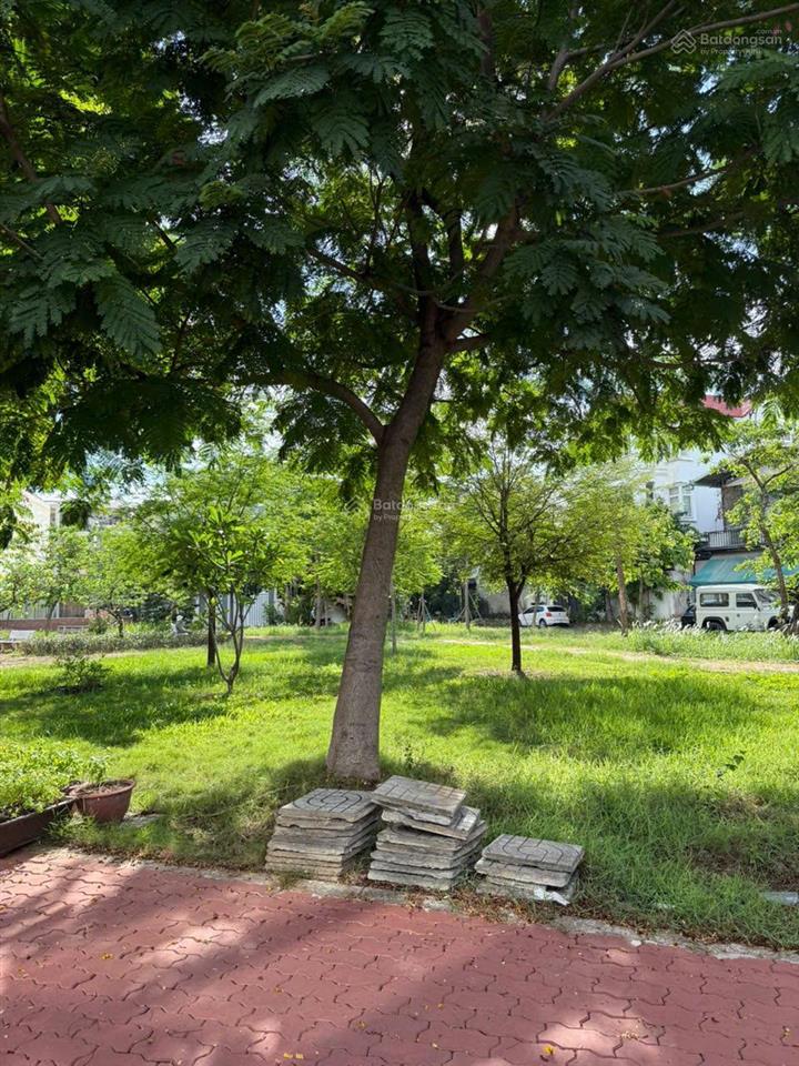 Hot giảm 2 tỷ đất 8x20 cn 160m2 view công viên đường số 29, p. an phú. xây mới hầm 4 tầng giá 38ty5