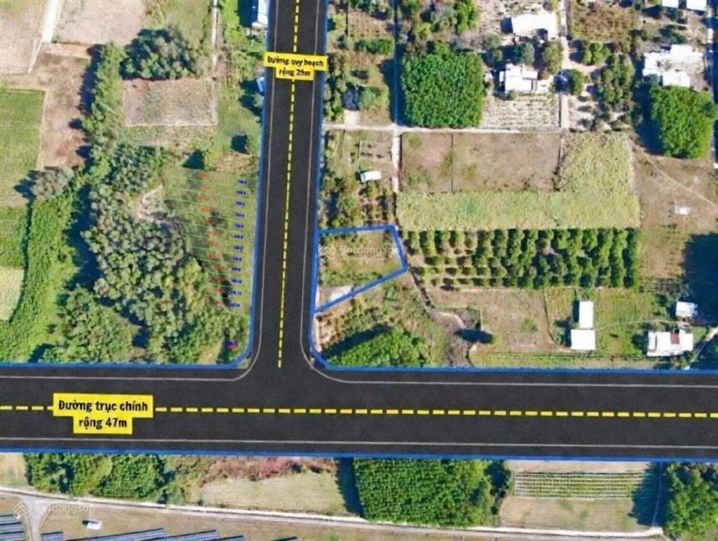 Bán đất tại xã cam an nam, 4,5 tỷ, 1000m2, mặt tiền 15m, ngõ rộng 7m, pháp lý đầy đủ