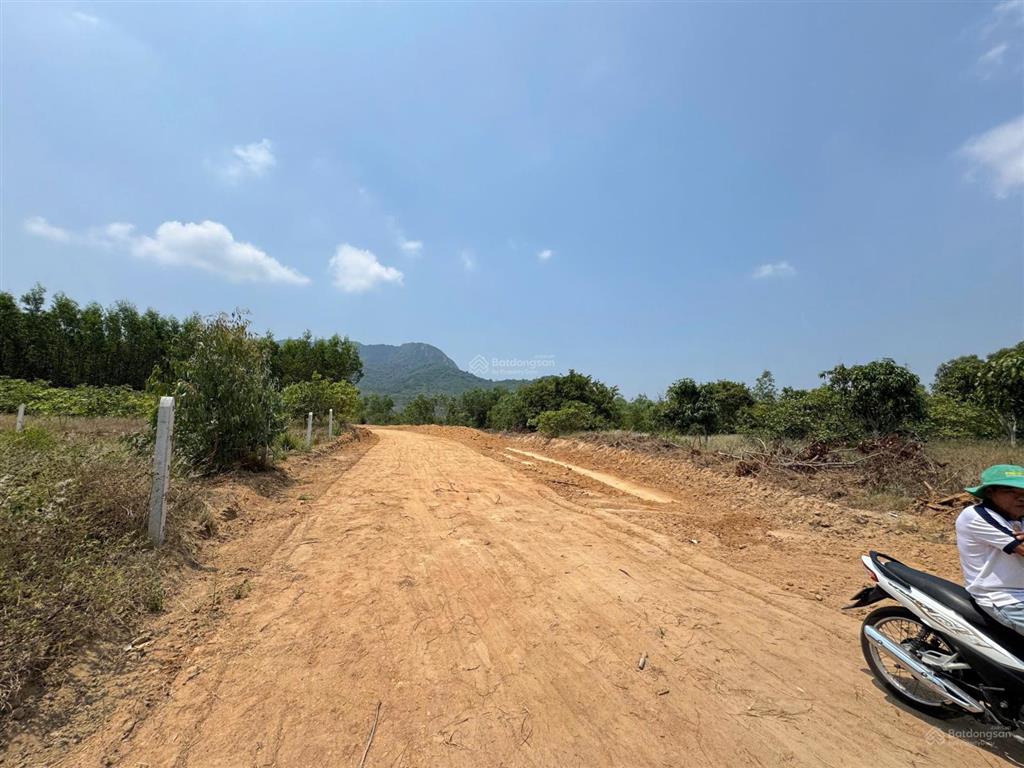 Bán đất tại xã cam an nam, 4,5 tỷ, 1000m2, mặt tiền 15m, ngõ rộng 7m, pháp lý đầy đủ