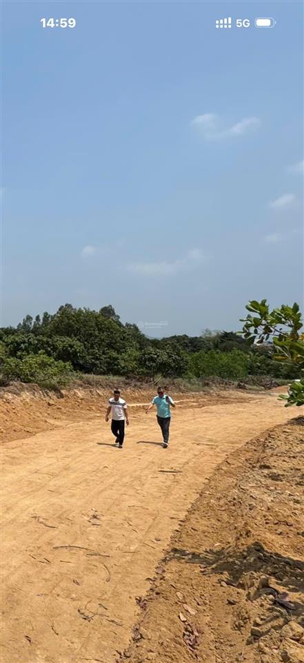Bán đất tại xã cam an nam, 4,5 tỷ, 1000m2, mặt tiền 15m, ngõ rộng 7m, pháp lý đầy đủ