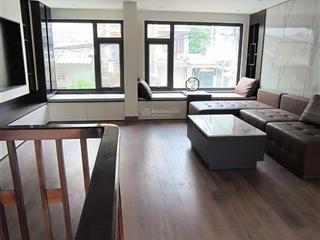 Cho thuê nr 209 ngọc hồi  thanh trì, phân lô, ô tô, 30m x 5t, 4 pn nhà mới đẹp có đồ 12 t