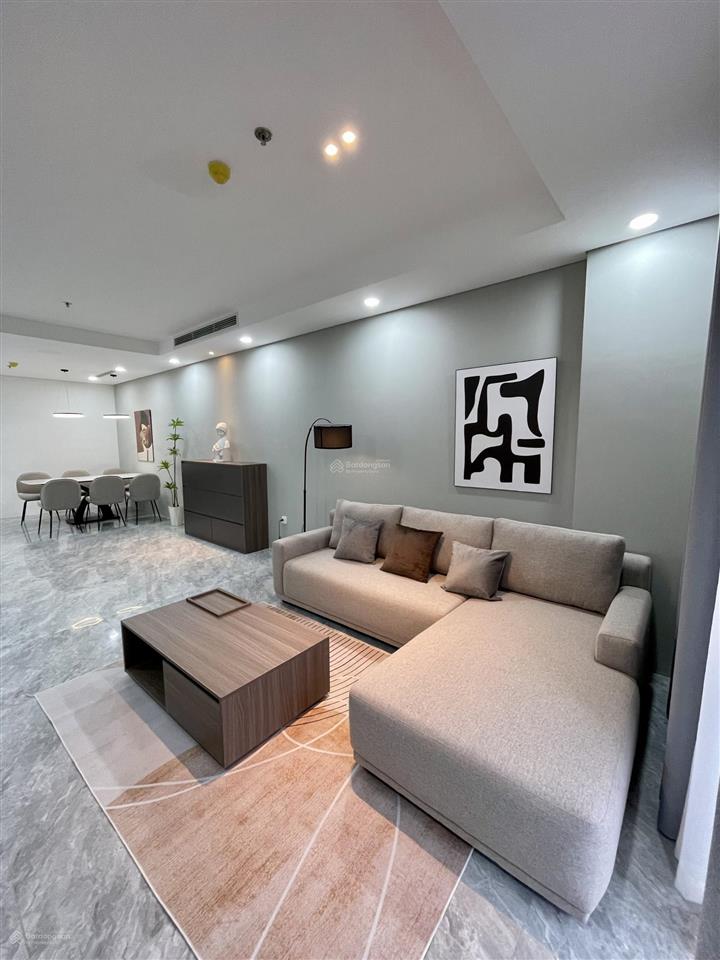 Quản lý chính chủ gửi cho thuê căn hộ chung cư capital elite 25 triệu 120m2, 3pn, 2wc capital elite
