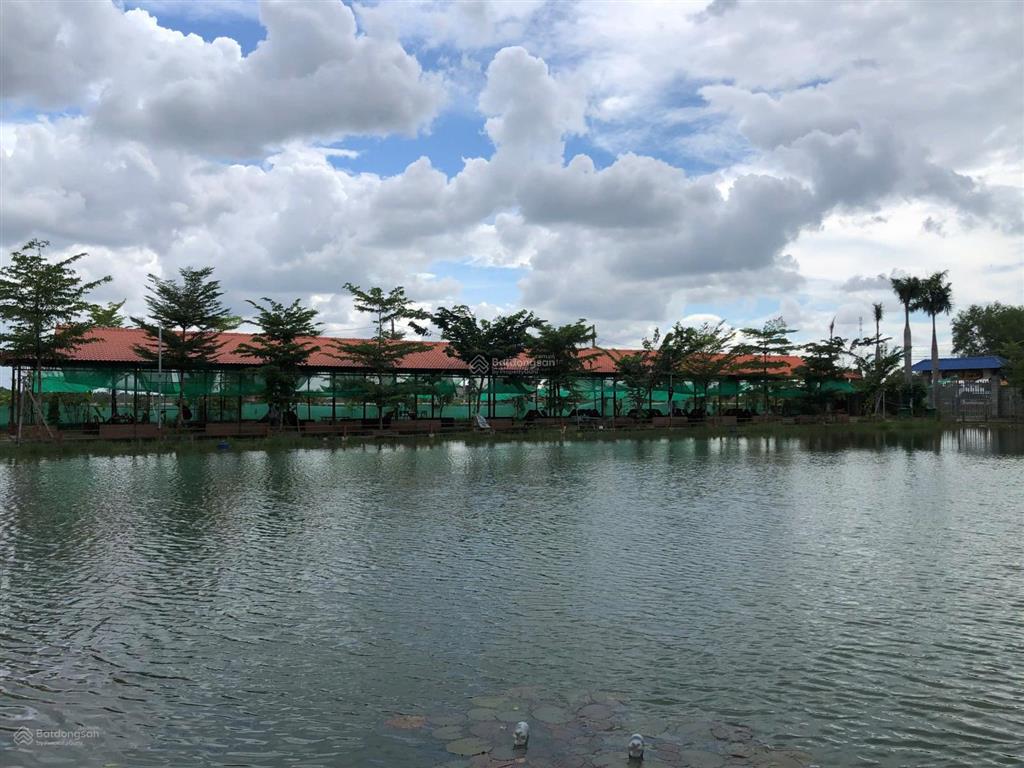 Chính chủ bán khu đất view kênh 1.1 ha mặt tiền tl823d long an / tây ninh60 tỷ (thương lượng)