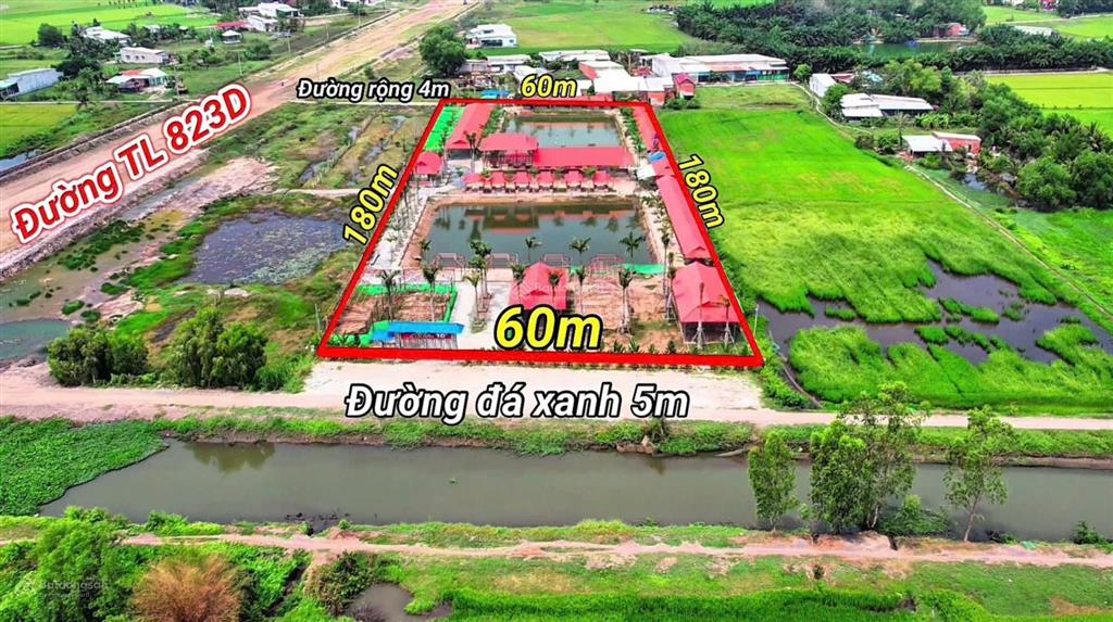 Chính chủ bán khu đất view kênh 1.1 ha mặt tiền tl823d long an / tây ninh60 tỷ (thương lượng)