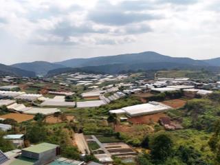 Đất kqh dic an sơn 2 mặt tiền view thung lũng rừng thông săn mây