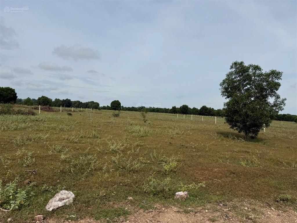 Cần bán 9.822m² đất thiện nghiệp (phường mũi né) giá tốt