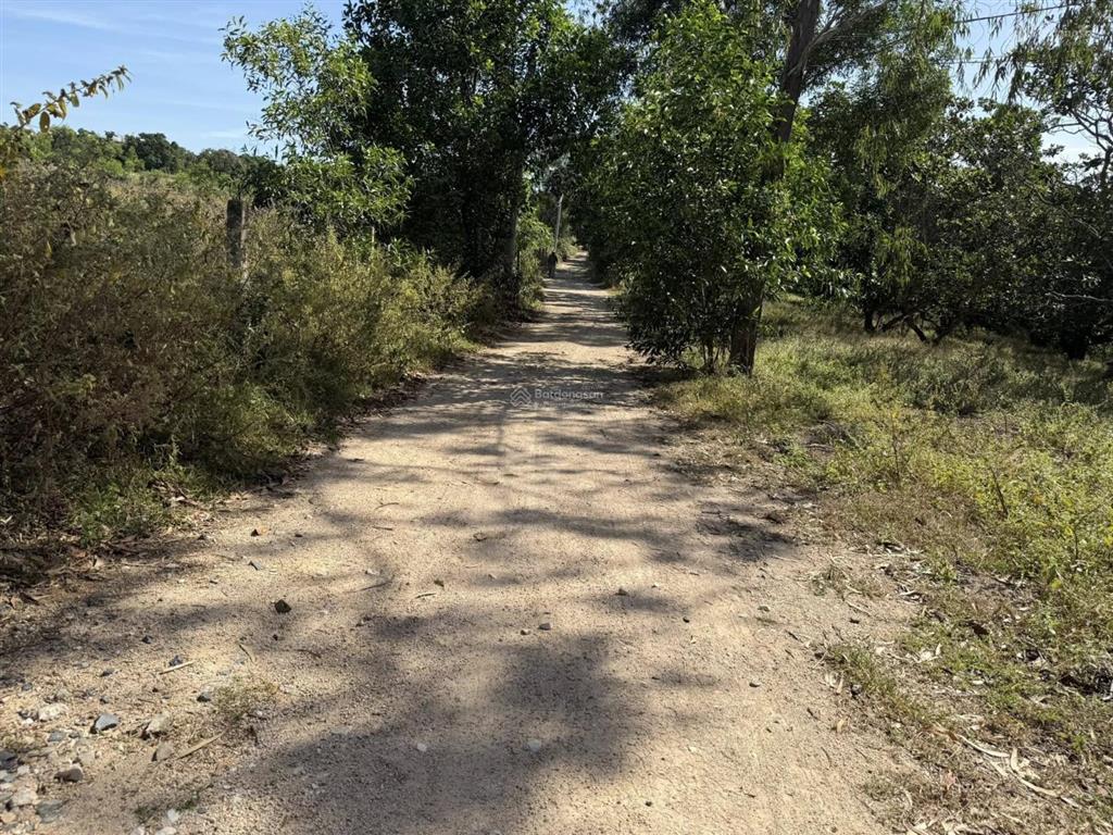 Cần bán 9.822m² đất thiện nghiệp (phường mũi né) giá tốt