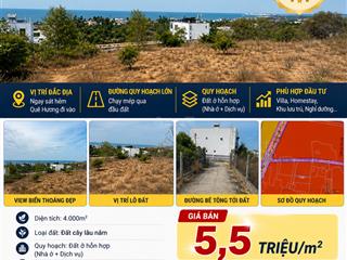 Bán 4.000m² đất view biển phường mũi né