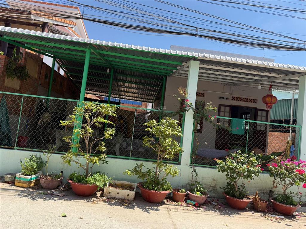 Bán đất lô c kdc nguyễn tấn định, mũi né, 195m2, cách biển 500m, gần sân bay phan thiết