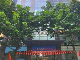 Bql cho thuê văn phòng tại tòa 5/82 duy tân (mobiphone), diện tích từ 300600m2.  0988 476 ***